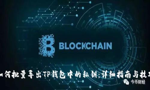 如何批量导出TP钱包中的私钥：详细指南与技巧