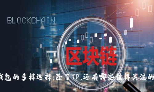 探索数字钱包的多样选择：除了TP，还有哪些值得关注的数字钱包？