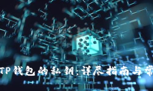 : 如何找回TP钱包的私钥：详尽指南与常见问题解答