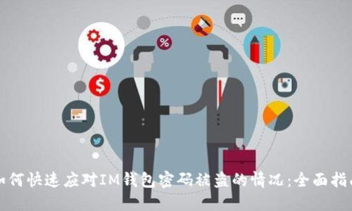 如何快速应对IM钱包密码被盗的情况：全面指南