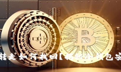 冷钱包被自动转走如何找回？揭秘冷钱包安全与恢复技巧