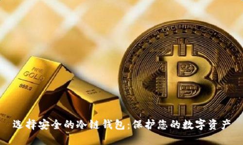 选择安全的冷链钱包：保护您的数字资产