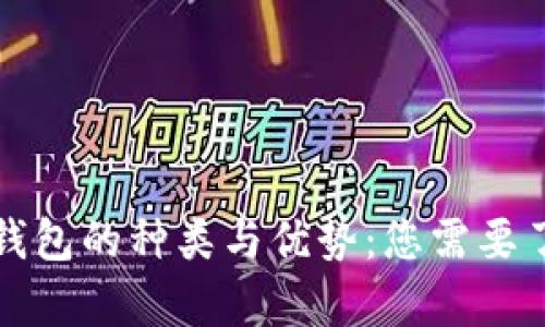全面解析虚拟钱包的种类与优势：您需要了解的所有信息