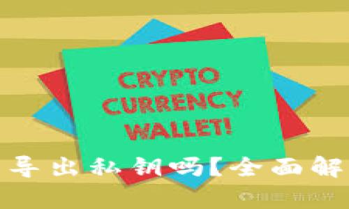 观察钱包可以导出私钥吗？全面解析与安全建议