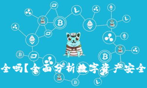 tp钱包资产安全吗？全面分析数字资产安全性与防护措施