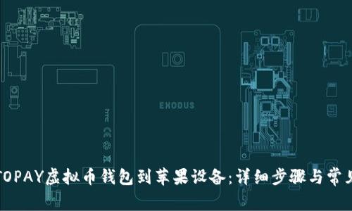 如何下载TOPAY虚拟币钱包到苹果设备：详细步骤与常见问题解答