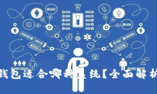 : 比特币冷钱包适合哪种系统？全面解析与最佳选择