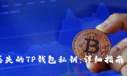 如何恢复丢失的TP钱包私钥：详细指南与解决方案