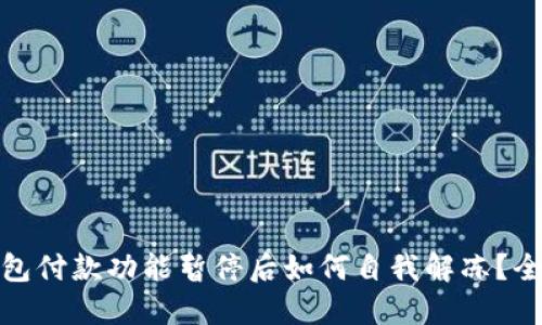 : 数字钱包付款功能暂停后如何自我解冻？全方位指南