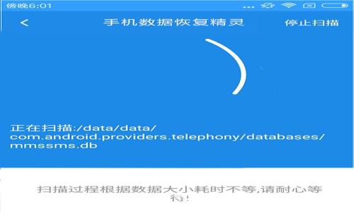 如何在APP官网下载币种钱包：详细步骤与注意事项