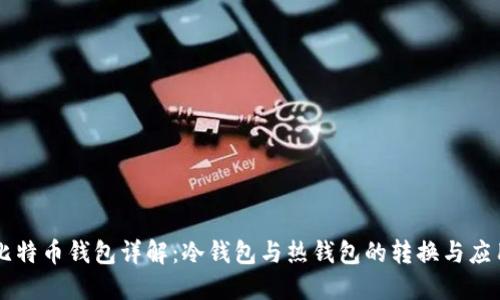 比特币钱包详解：冷钱包与热钱包的转换与应用