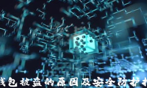 
冷钱包被盗的原因及安全防护措施