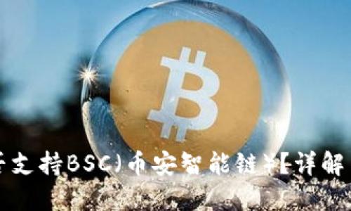 TP钱包是否支持BSC（币安智能链）？详解与使用指南