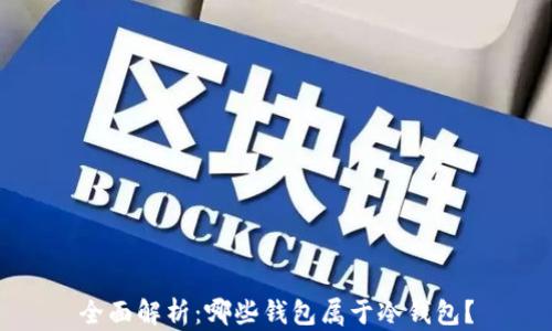 
全面解析：哪些钱包属于冷钱包？