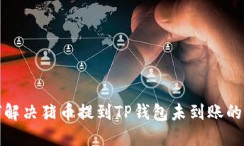 如何解决猪币提到TP钱包未到账的问题