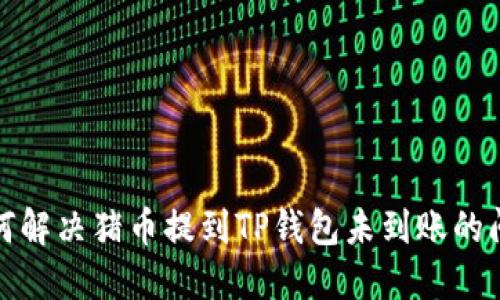 如何解决猪币提到TP钱包未到账的问题