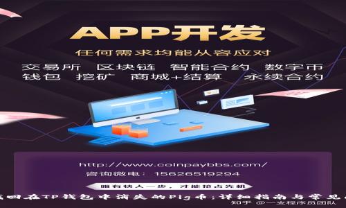 : 如何找回在TP钱包中消失的Pig币：详细指南与常见问题解答