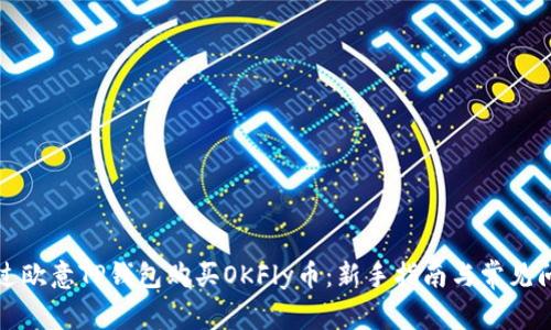 如何通过欧意TP钱包购买OKFly币：新手指南与常见问题解答