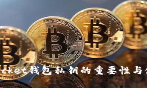 TokenPocket钱包私钥的重要性与使用指南