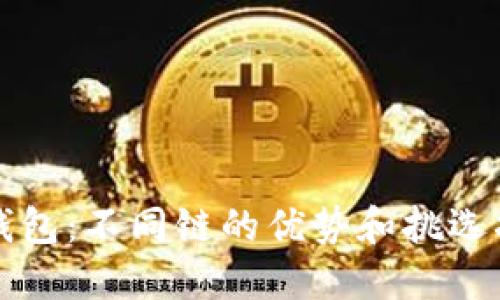 TP钱包：不同链的优势和挑选指南
