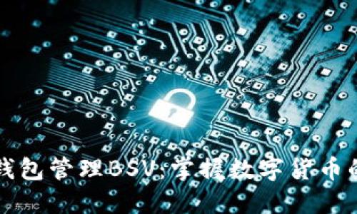 如何使用TP钱包管理BSV：掌握数字货币的安全与收益