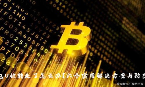 TP钱包U被转走了怎么办？六个实用解决方案与防范措施