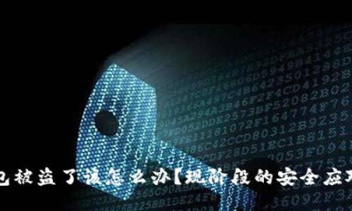 TP钱包被盗了该怎么办？现阶段的安全应对指南