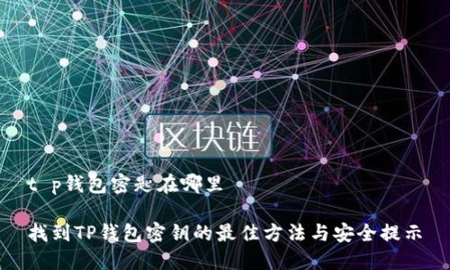 t p钱包密匙在哪里

找到TP钱包密钥的最佳方法与安全提示