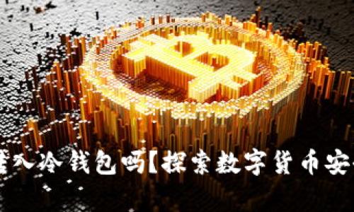 易币付可以转入冷钱包吗？探索数字货币安全存储的奥秘