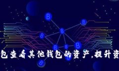如何在TP钱包查看其他钱包的资产，提升资产管理