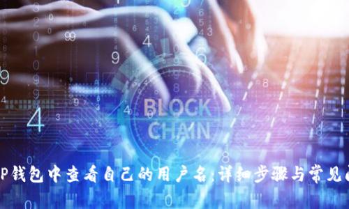如何在TP钱包中查看自己的用户名：详细步骤与常见问题解答