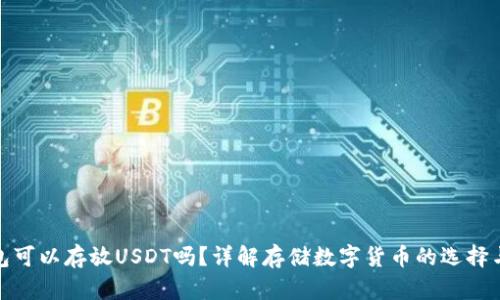 tp冷钱包可以存放USDT吗？详解存储数字货币的选择与安全性