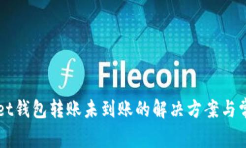 iTokenPocket钱包转账未到账的解决方案与常见问题解析