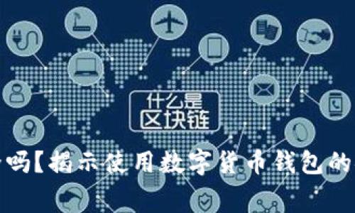免费下载TP钱包安全吗？揭示使用数字货币钱包的安全隐患及防范措施