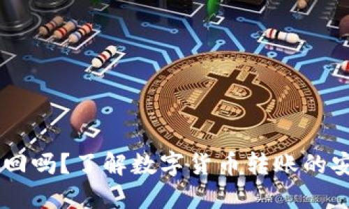 IM钱包转账能追回吗？了解数字货币转账的安全性与解决方案