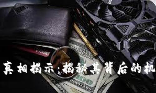 中本聪币真相揭示：揭秘其背后的机遇与风险
