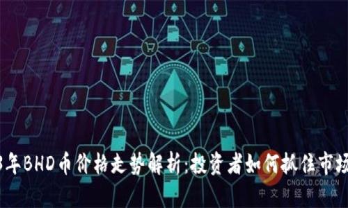 2023年BHD币价格走势解析：投资者如何抓住市场机会