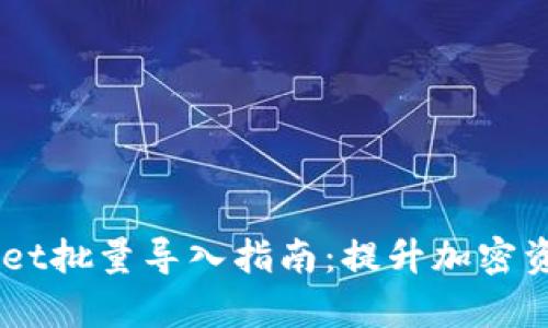 bTokenPocket批量导入指南：提升加密资产管理效率
