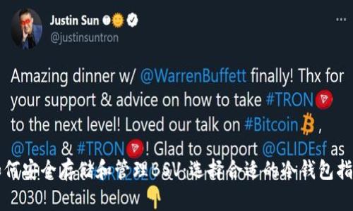 如何安全存储和管理BSV：选择合适的冷钱包指南