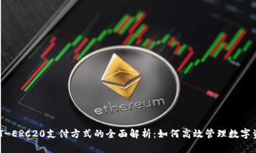 USDT-ERC20支付方式的全面解析：如何高效管理数字资产？