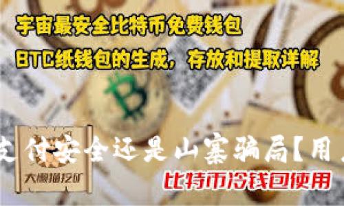 CGPAY钱包：支付安全还是山寨骗局？用户需知的真相