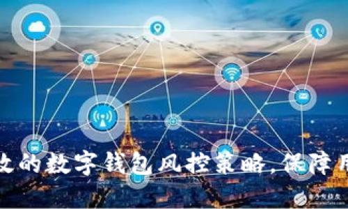 如何构建高效的数字钱包风控策略，保障用户资金安全