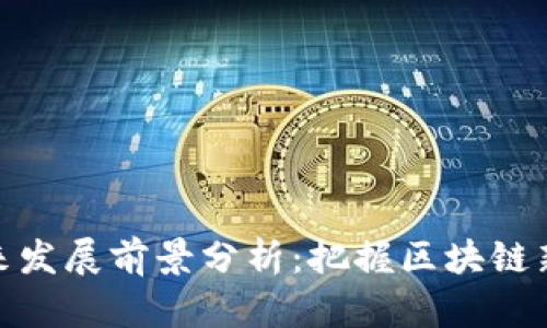 TP钱包的未来发展前景分析：把握区块链新时代的机遇