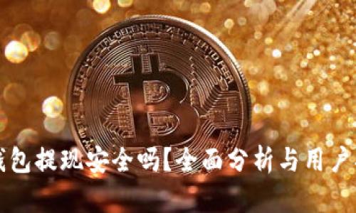 TP钱包提现安全吗？全面分析与用户指南