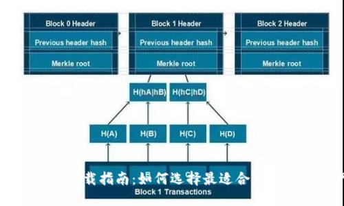 多链钱包与冷钱包下载指南：如何选择最适合你的数字资产管理工具