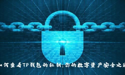 如何查看TP钱包的私钥：你的数字资产安全之道