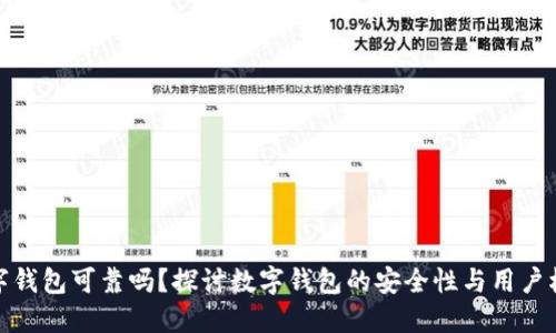 数字钱包可靠吗？探讨数字钱包的安全性与用户权益