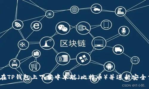 如何在TP钱包上下载中本聪（比特币）并进行安全交易？