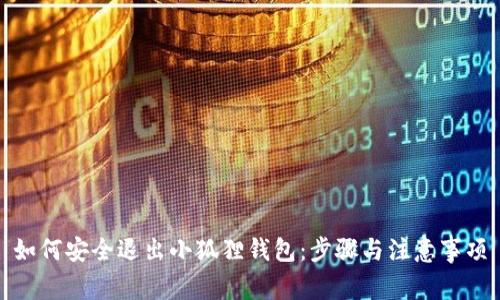 如何安全退出小狐狸钱包：步骤与注意事项