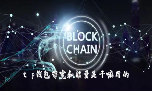 t p钱包带宽和能量是干嘛用的